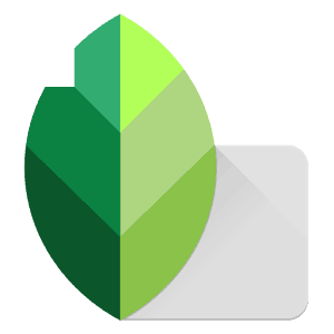 snapseed photo editor online