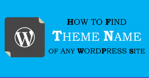 Find Theme Name of Any WordPress Site