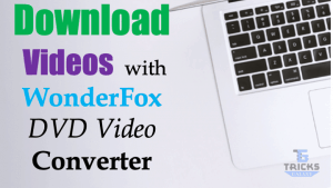 WonderFox Video Converter Review